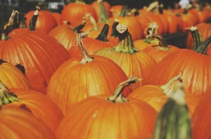 Autumn_pumpkins_small-300x198